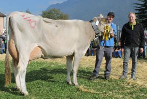 151003Altdorf 004-001